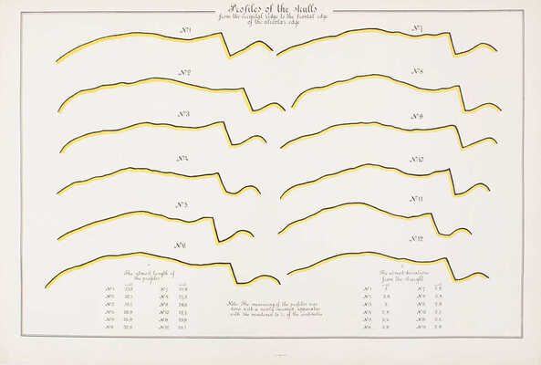 [Ширинский-Шихматов А. Альбом северных собак (лаек). С приложением таблиц измерений черепов и живых экземпляров. Вып. I [и ед.]. а) Карельские лайки. б) Зырянские лайки. / Предисл. Л. Сабанеева; ил. худож. А. Степанова. М., 1896].